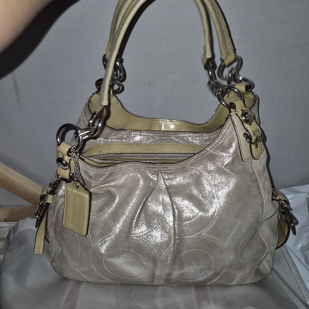 Coach Maggie Shimmer Hobo Bag - Picture 3 of 13